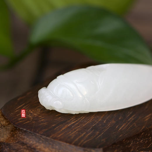 和田玉（羊脂玉）籽料挂件--蝉33.02g 商品图3