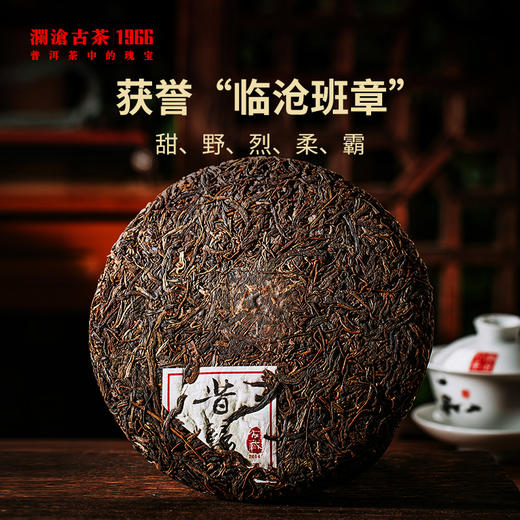 澜沧古茶时光仓老茶2014年压制昔归普洱生茶云南茶叶盒装337g 商品图1