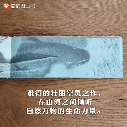 【梅子涵、何捷推荐】信谊原创图画书：北冥有鱼   刘畅作品第三届信谊图画书奖创作奖佳作 信谊绘本 0-6岁儿童绘本 商品图2