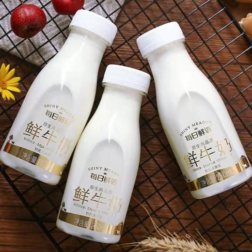 每日鲜语鲜牛奶250g 商品图1