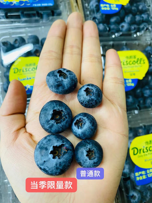 ✨Driscoll's蓝莓王，纯正L25，新鲜果粉足，甜甜脆脆爽爽。 商品图4