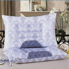 传枫（两只装）枕头磁疗枕头枕决明子保健枕安睡枕CF-3011