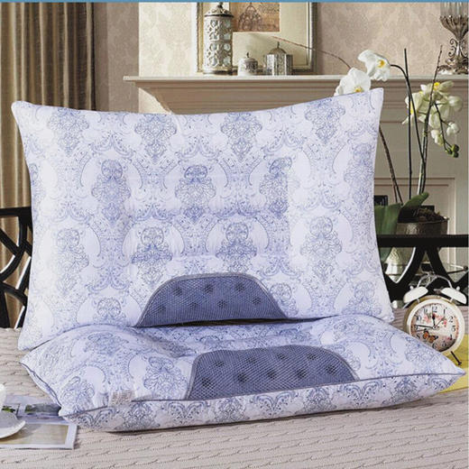 传枫（两只装）枕头磁疗枕头枕决明子保健枕安睡枕CF-3011 商品图0