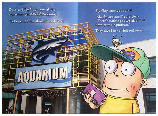 苍蝇小子 鲨鱼 英文原版 Fly Guy Presents Sharks Scholastic Reader, Level 2 学乐分级小读本2级 商品图1