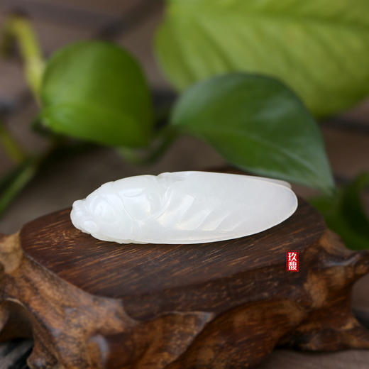 和田玉（羊脂玉）籽料挂件--蝉33.02g 商品图2