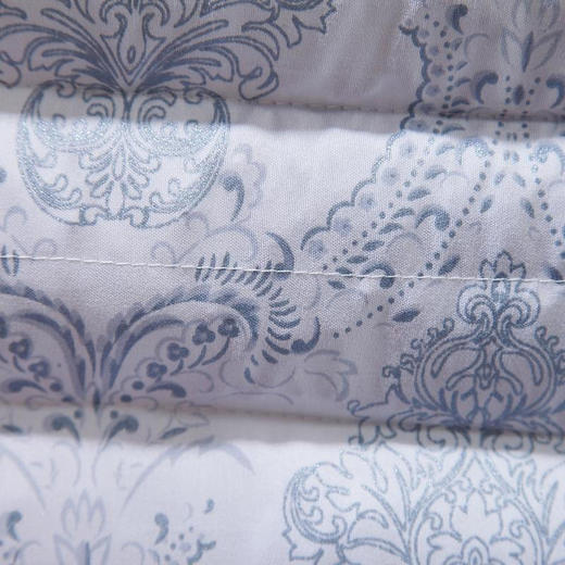 传枫（两只装）枕头磁疗枕头枕决明子保健枕安睡枕CF-3011 商品图3