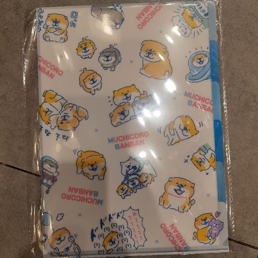 MW文件夹57455 商品图0