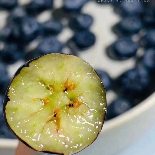 脆甜好吃的蓝莓 商品图5