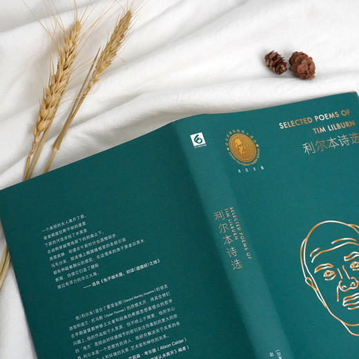利尔本诗选 荷马奖章桂冠诗人译丛 加拿大文学奖 总督文学奖获得者 赵四译 正版 华东师范大学出版社 商品图2