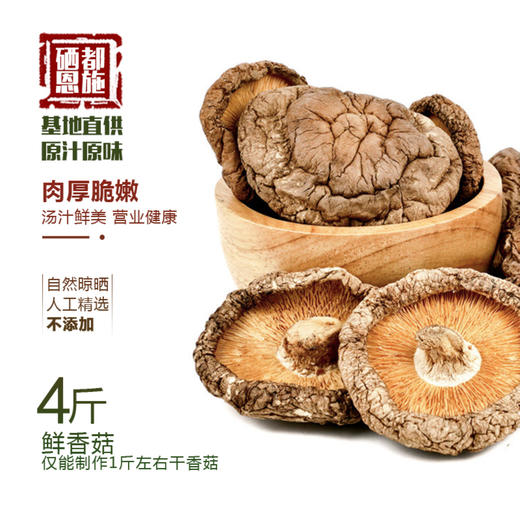 【恩施】宜恩 恩施小香菇250g/袋 商品图2