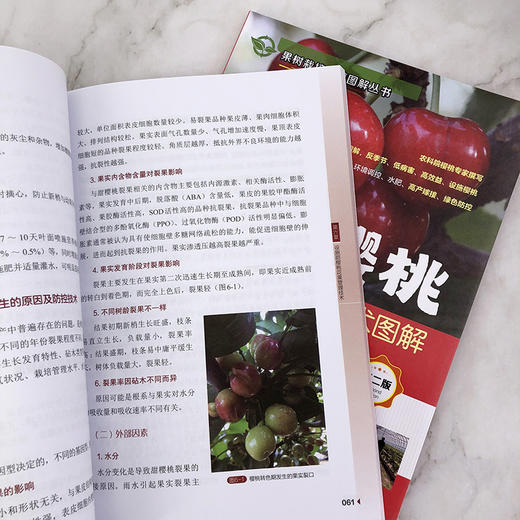 设施甜樱桃高产高效栽培技术图解 商品图4