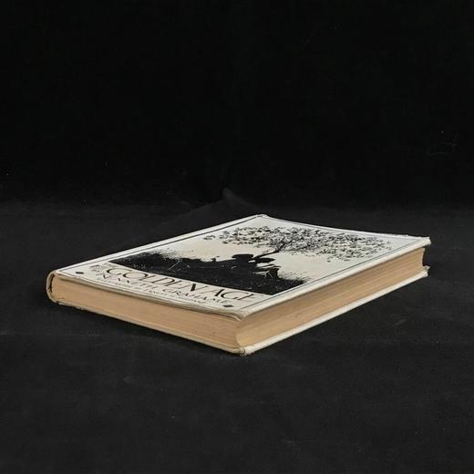 格林厄姆《黄金时代》 谢泼德28幅插图 精装32开 商品图1