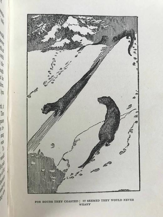 1922年 翅膀与爪垫 8幅插图 漆布精装32开 商品图10