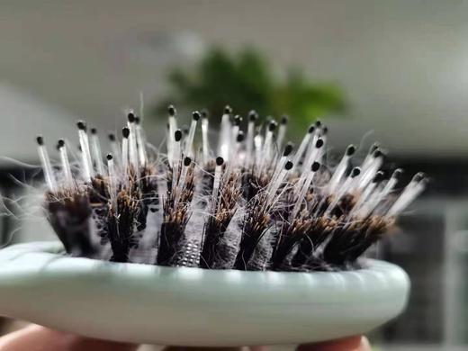 猪鬃毛尼龙刷 英国同款  赛级黑柄梳 尼龙圆头红柄梳 mini猪鬃猫咪梳 商品图3