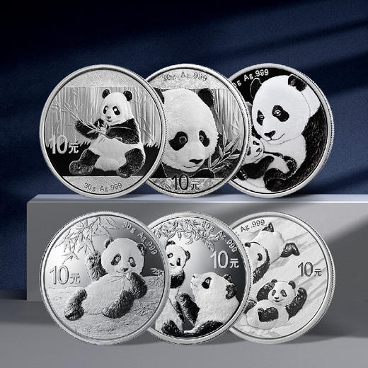 【封装版】熊猫30克银币（可爱封） 商品图1