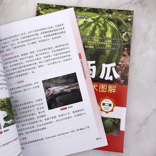 设施西瓜高效栽培技术图解 商品图3