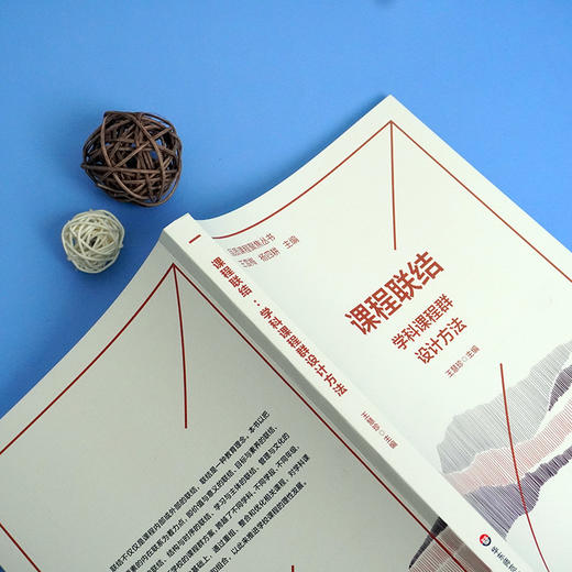 课程联结 学科课程群设计 品质课程聚焦丛书 多学科课程群建设方案 王慧珍 商品图2