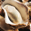 生态生蚝 | 合作生产 *   Ecological oyster | Coproduction 商品缩略图3