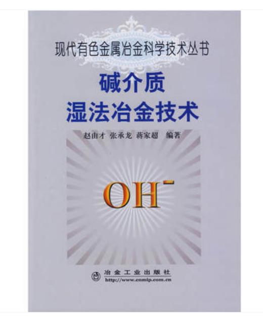 碱介质湿法冶金技术/赵由才 张承龙 蒋家超 商品图0