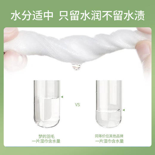 湿巾纸大包带盖巾（gxfc35） 商品图2