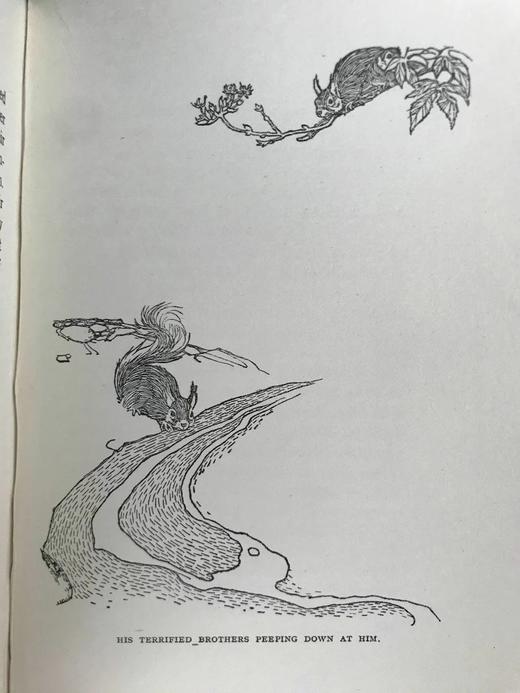 1922年 翅膀与爪垫 8幅插图 漆布精装32开 商品图11