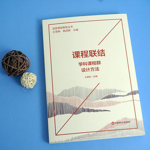 课程联结 学科课程群设计 品质课程聚焦丛书 多学科课程群建设方案 王慧珍 商品图1