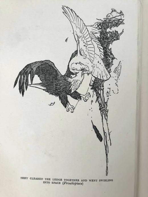 1922年 翅膀与爪垫 8幅插图 漆布精装32开 商品图3