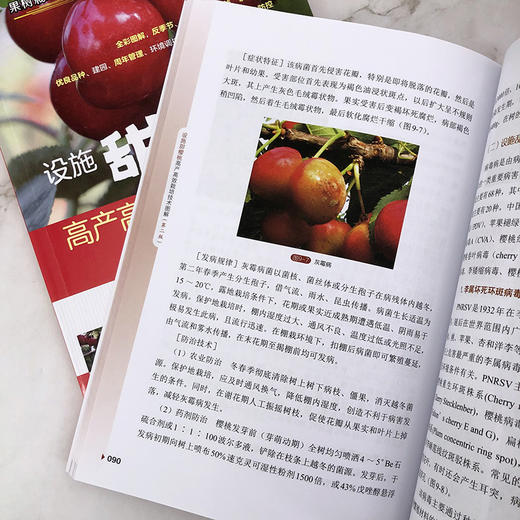 设施甜樱桃高产高效栽培技术图解 商品图8