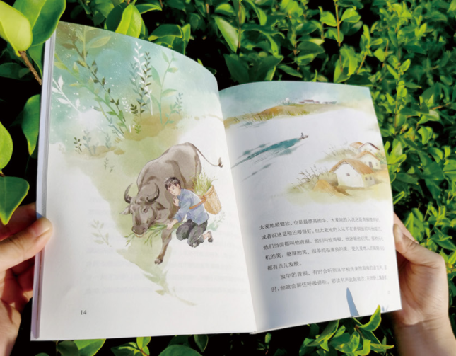 曹文轩画本·青铜葵花 (全9册)6岁  700张插图 全面提升语文能力