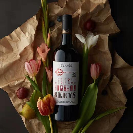 圣丽塔之钥赤霞珠干红葡萄酒750ML 商品图3