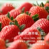 【限时优惠】草莓蒙布朗挞1个 门店兑换券 · 线下门店通用 · 2022年01月31日前使用 商品缩略图3