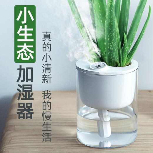 飞比生态加湿器S1 商品图0