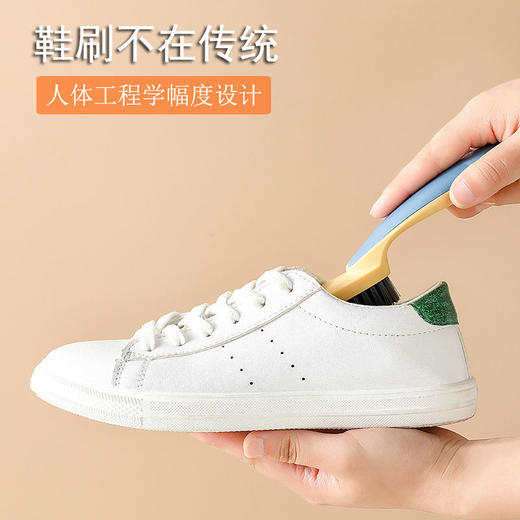 鞋刷子多功能软毛刷鞋洗鞋家用洗衣刷清洁刷 (gxfc24) 商品图3