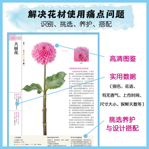 花艺设计花材使用手册 知名博主赵大发推荐 花艺师、花店必备，高清图鉴+挑选方法+养护方法+搭配原则，花材问题一本解决 商品图1