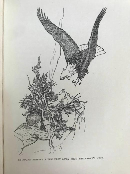 1922年 翅膀与爪垫 8幅插图 漆布精装32开 商品图13