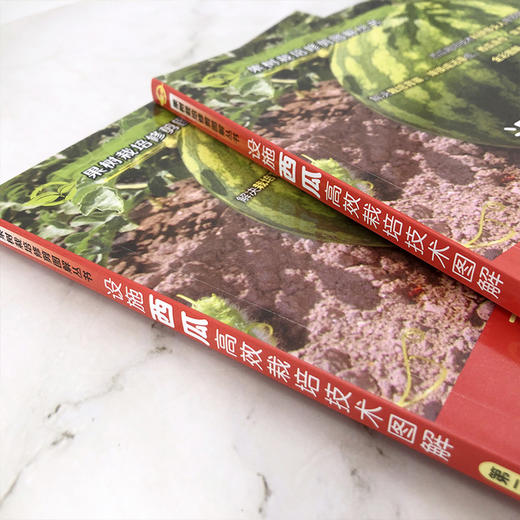 设施西瓜高效栽培技术图解 商品图2