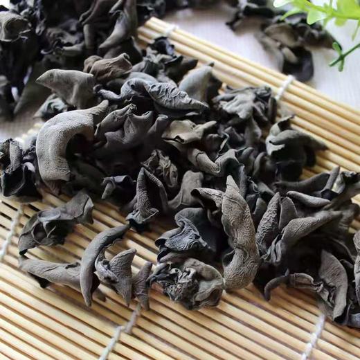 椴木春耳 商品图0