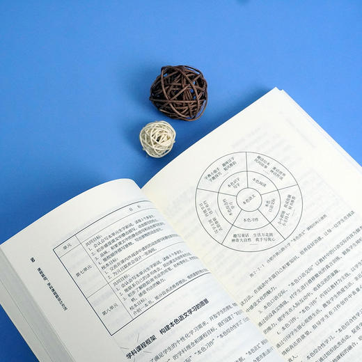 课程联结 学科课程群设计 品质课程聚焦丛书 多学科课程群建设方案 王慧珍 商品图3