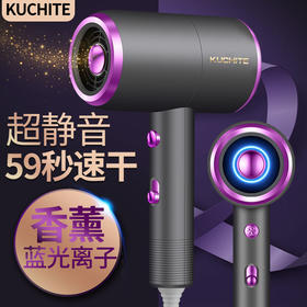 吹风机家用大功率理发店发廊吹风筒冷热风（ryp14）