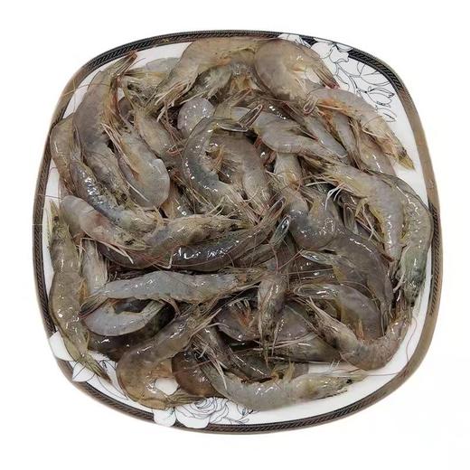 茂兴湖野生江虾 商品图0