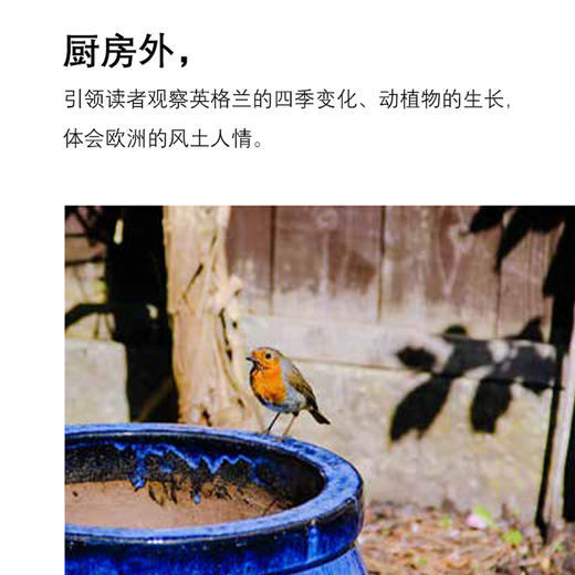 吾心安处是厨房：冬去春来的料理与生活 商品图4