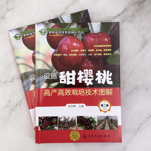 设施甜樱桃高产高效栽培技术图解 商品图9