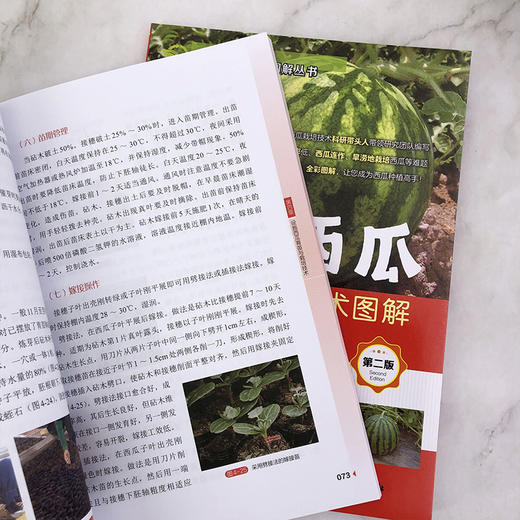 设施西瓜高效栽培技术图解 商品图4
