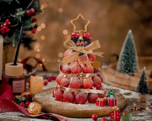 红果树 商品图0