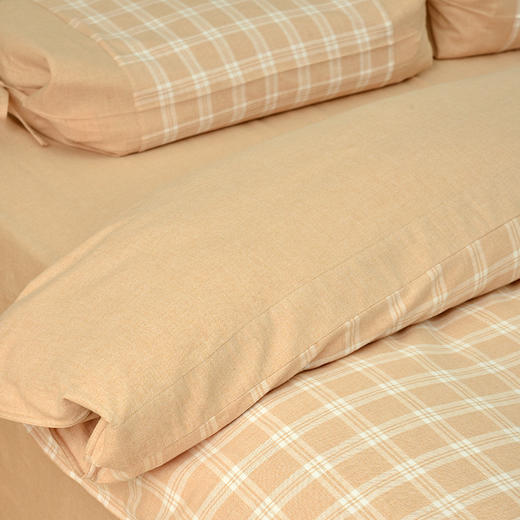 莫兰迪小格子磨毛四件套纯棉秋冬加厚四件套 商品图2