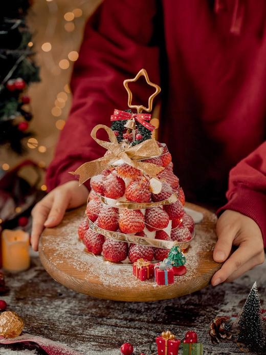 红果树 商品图2