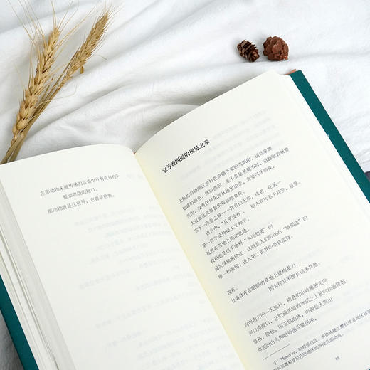 利尔本诗选 荷马奖章桂冠诗人译丛 加拿大文学奖 总督文学奖获得者 赵四译 正版 华东师范大学出版社 商品图3