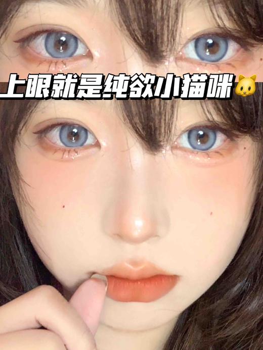 KITTEN GRAY布偶猫咪蓝「含硅水凝胶」半年抛型 商品图0