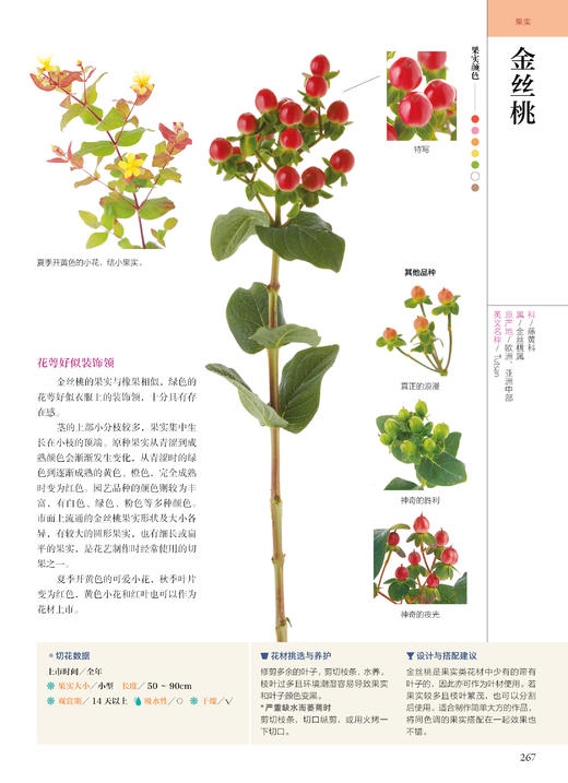 花艺设计花材使用手册 知名博主赵大发推荐 花艺师、花店必备，高清图鉴+挑选方法+养护方法+搭配原则，花材问题一本解决 商品图11