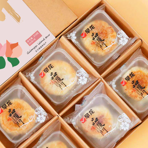 早龙厦门特产老字号肉饼老婆饼椰子馅饼零食品礼盒装节日伴手礼袋 商品图1